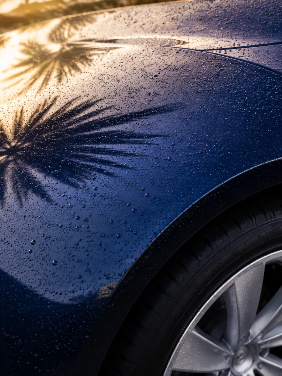 Illustration of water beads on deep blue car paint.